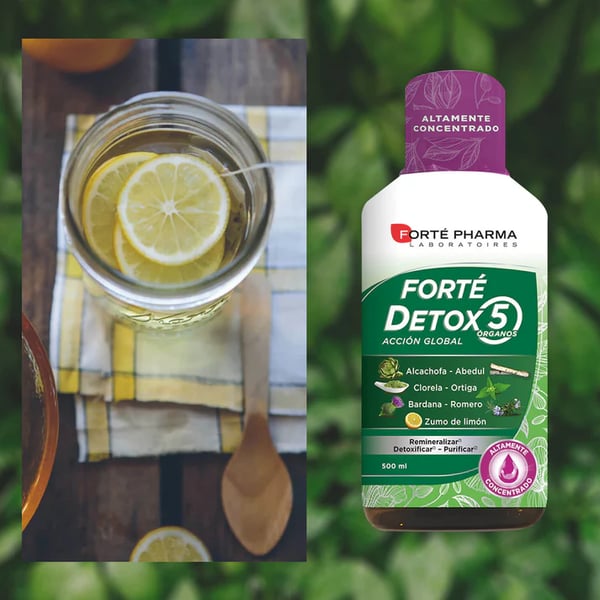 fortedetox5orgaos-5.webp