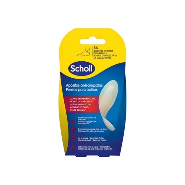 SCHOLL  PENSO BOLHAS GRANDES X 5